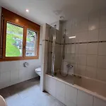 Bergrose 3 * Wengen